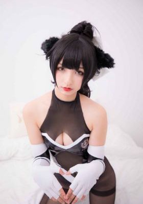 bt磁力链磁力猫_DVD日韩电影在线