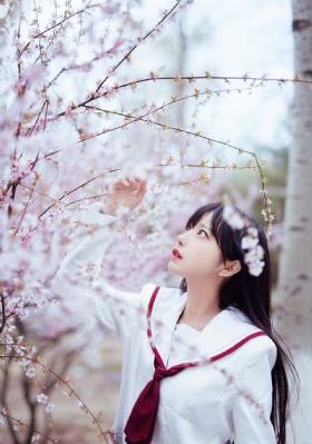 又大又粗黄的视频_蓝光免费观看视频